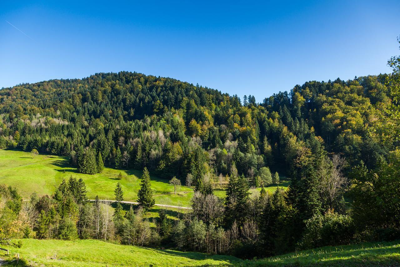 Hotel Bad Rain Mit Oberstaufen Plusgolf エクステリア 写真